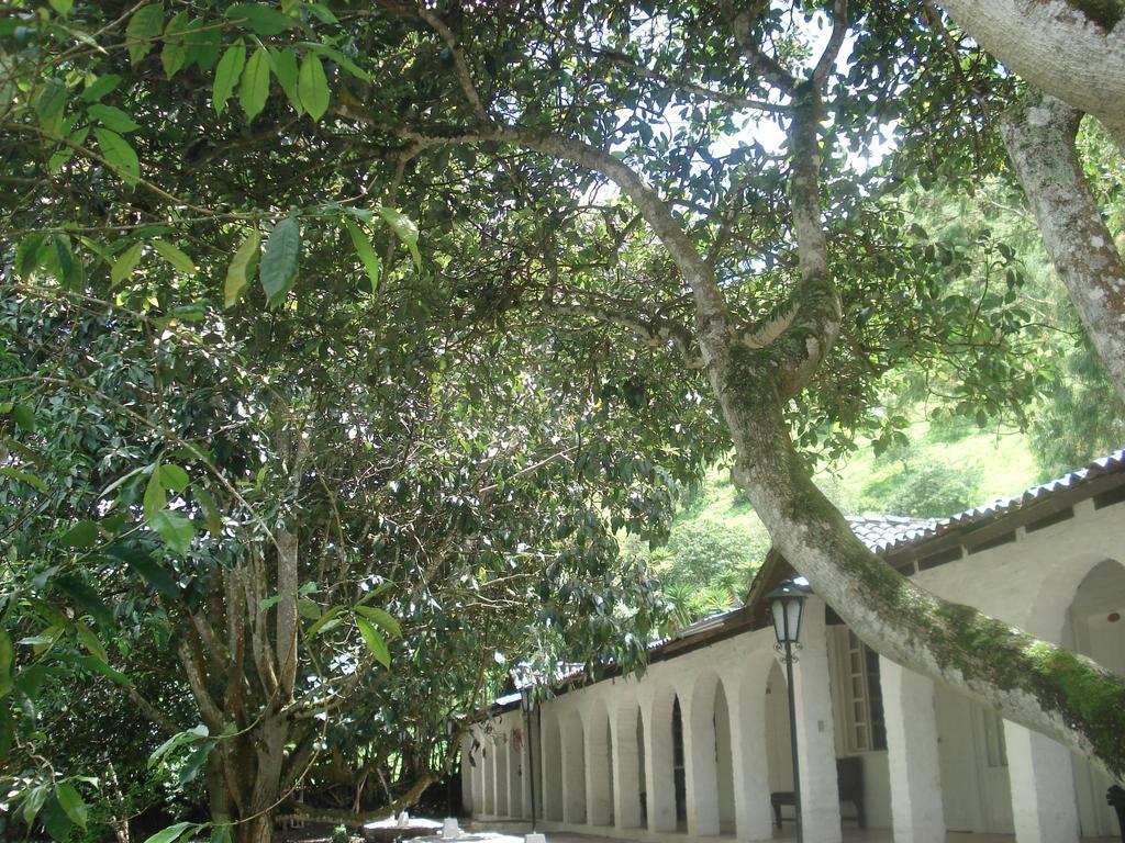 Hosteria La Eterna Primavera Huigra Exterior photo